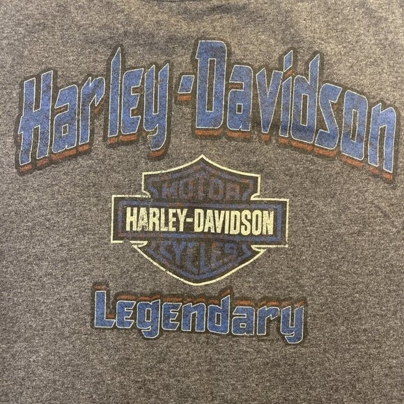 Large Gray Harley-Davidson Motorcycles Tank Top Rodgers-Eureka Springs, Arkansas - Picture 1 of 9